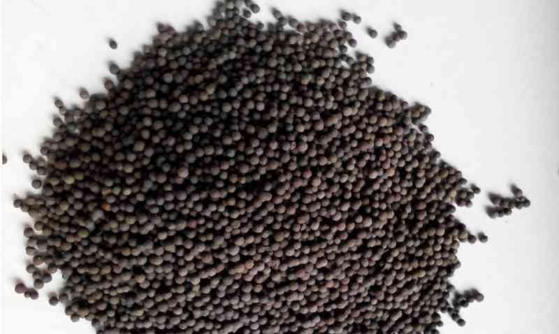 http://m.shangjiupinke.com